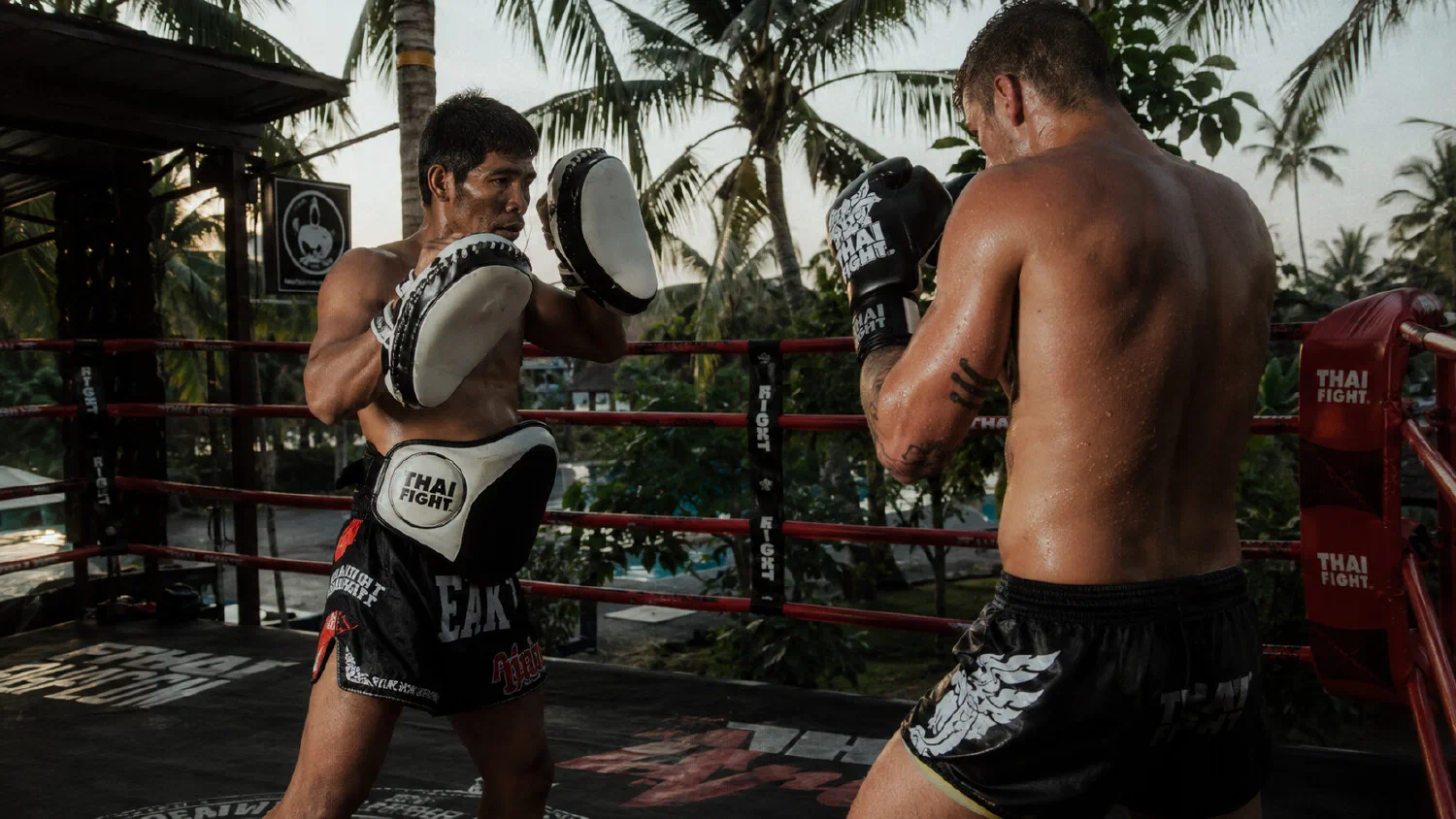 Лагеря муай-тай в Таиланде 2026 — Tiger, Phuket Top Team, Sinbi