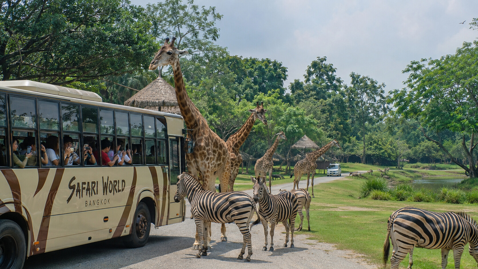 Safari World Bangkok — сафари на автобусе среди жирафов и зебр